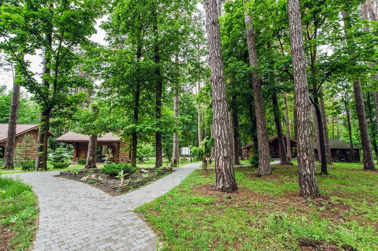 Forest Hut Stariy Prud Pylypovychi ภายนอก รูปภาพ